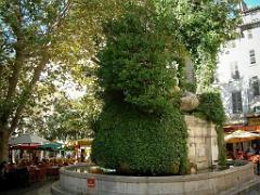 184 TOULON LA VILLE (71)